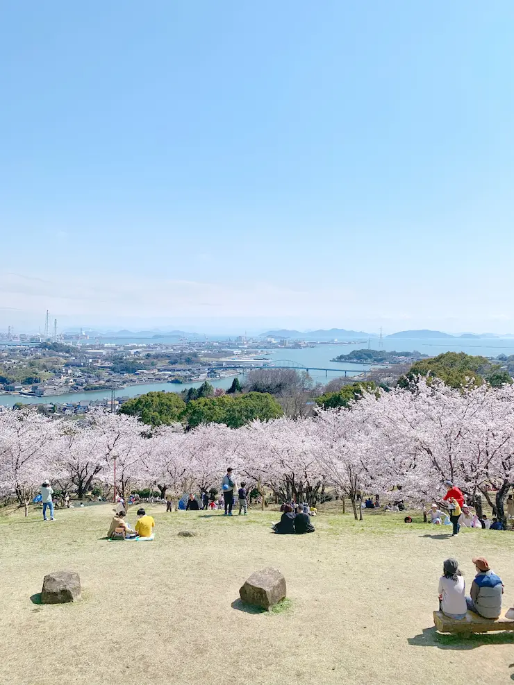 円通寺公園からの桜